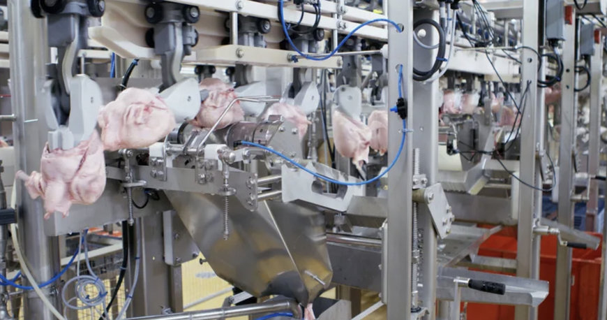MAREL: OPTIMIZED LINE EFFICIENCY AND INCREASED ROBUSTNESS WITH FHF FLEXCONTROL